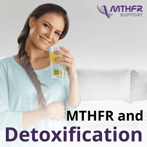 Practitioner Webinar: MTHFR and Detoxification