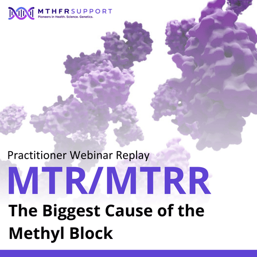 MTR/MTRR – The Biggest Cause of the Methyl Block