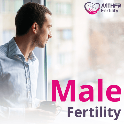 Male Fertility Webinar Replay